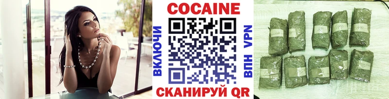 Cocaine 98%  купить закладку  Александровск-Сахалинский 