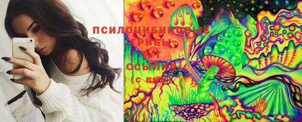 первитин Кострома