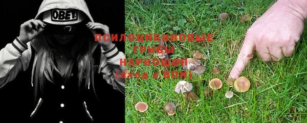 MESCALINE Абинск